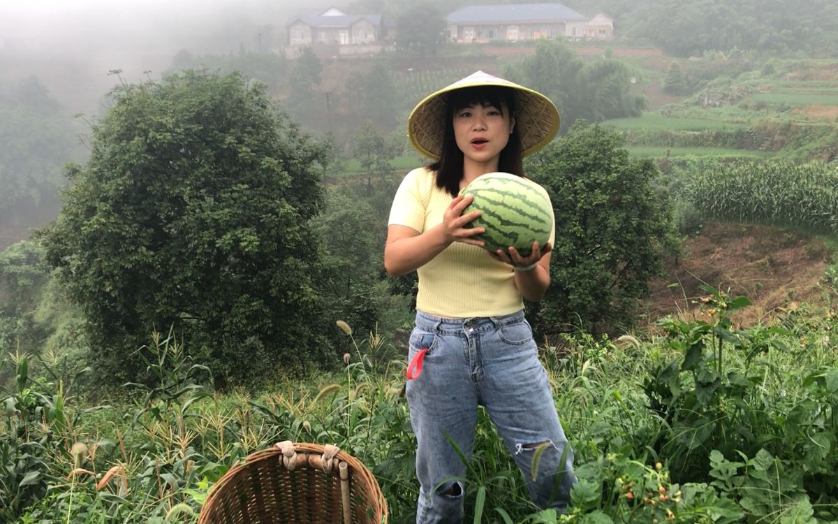 下雨天和麻子回方山摘西瓜,一人一狗全身湿透,时蔬孔干饭吃过吗?哔哩哔哩bilibili