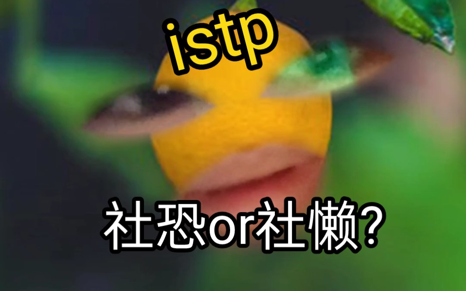 istp的刻板印象2哔哩哔哩bilibili