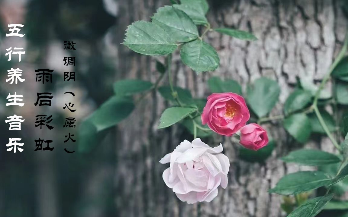 [图]五行养生音乐 雨后彩虹-徵调阴（心属火）