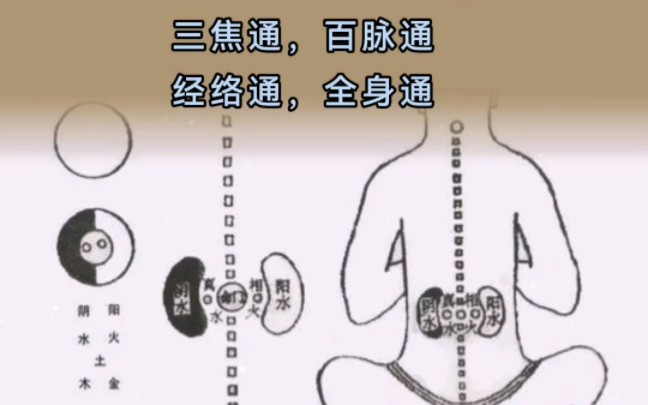 找找经络,看看能对应上吗?