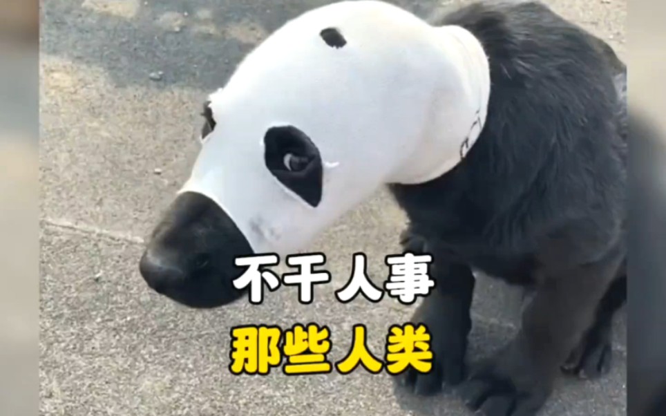 盘点那些不干人事的人类