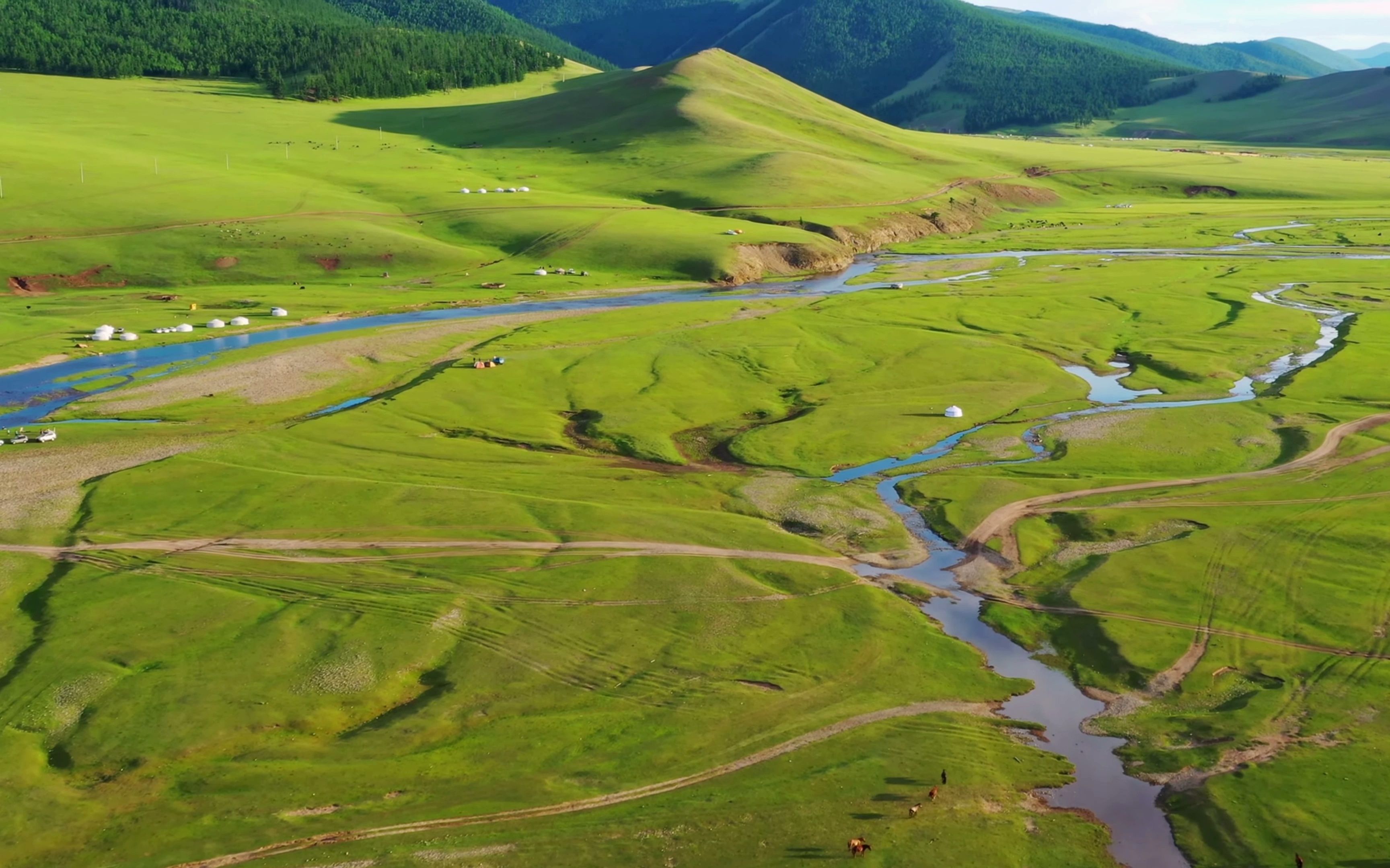 蒙古〗广阔无垠的草原成吉思汗的故乡|前方极度舒适|森林白噪音|最