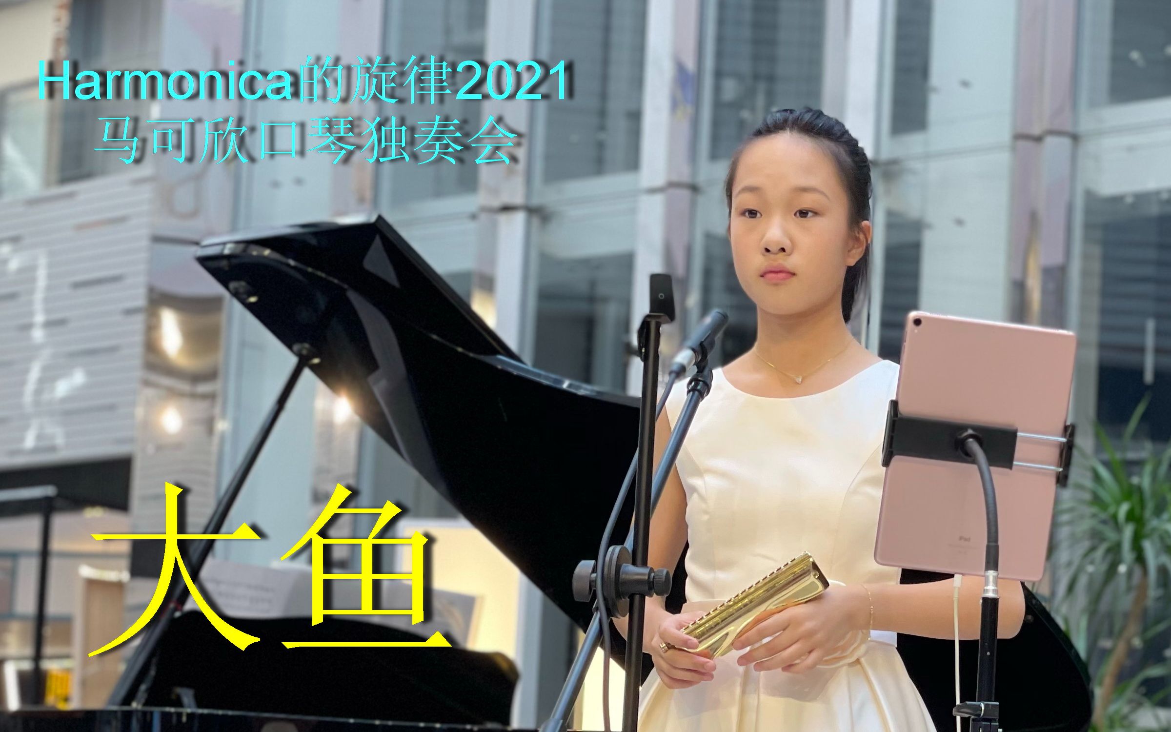 活动作品harmonica的旋律2021马可欣口琴独奏会剪辑大鱼现场混音版