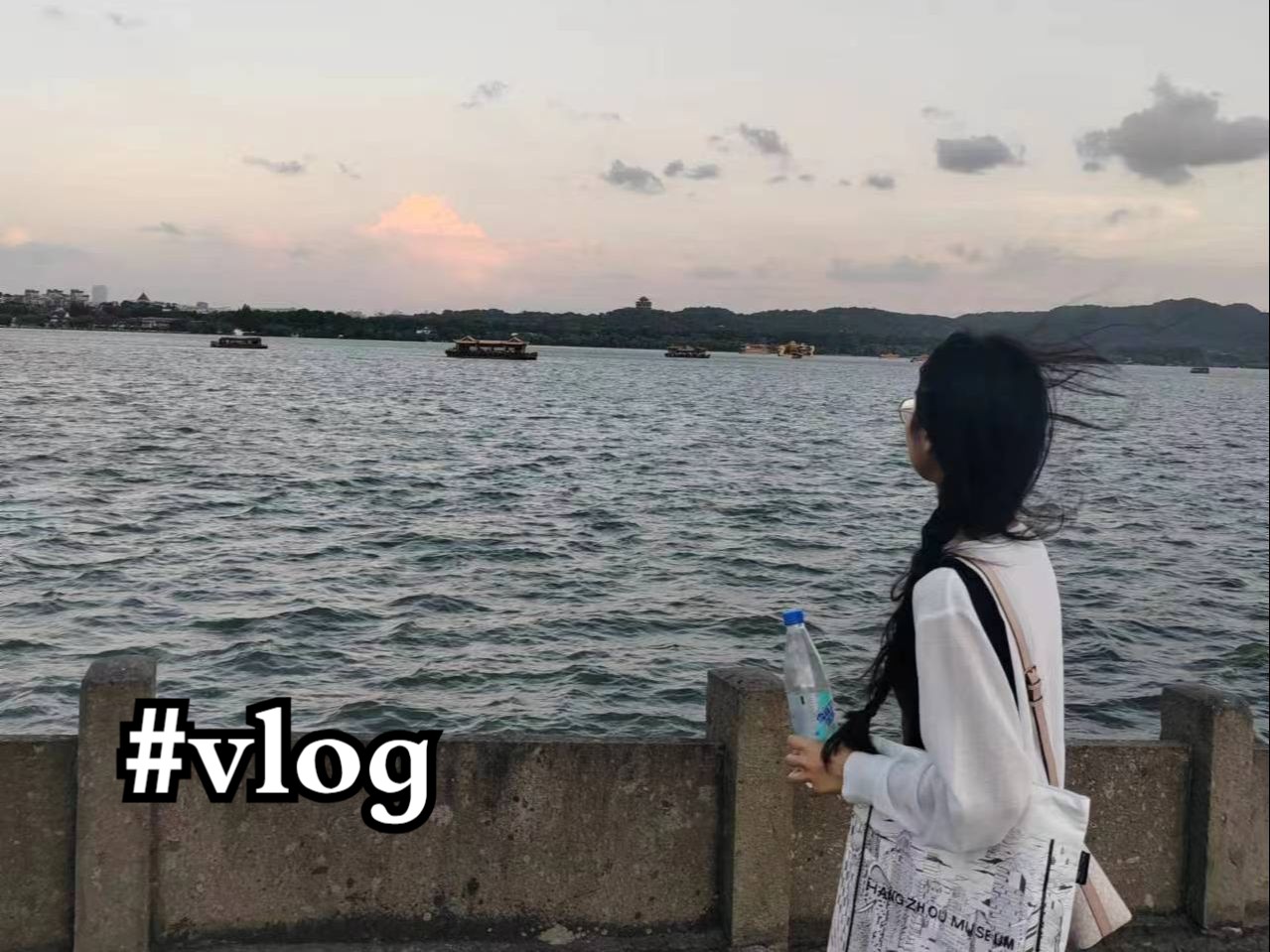 〖Travel vlog〗𐟓杭州#2|好像西湖醋鱼还不错?|西湖日落ⷦ�ž酒家ⷮŠ武林夜市哔哩哔哩bilibili