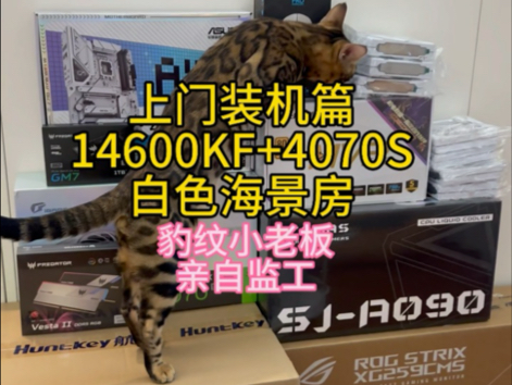 南宁上门装电脑14700KF+4070S白色海景房,豹纹猫咪亲自监工.哔哩哔哩bilibili