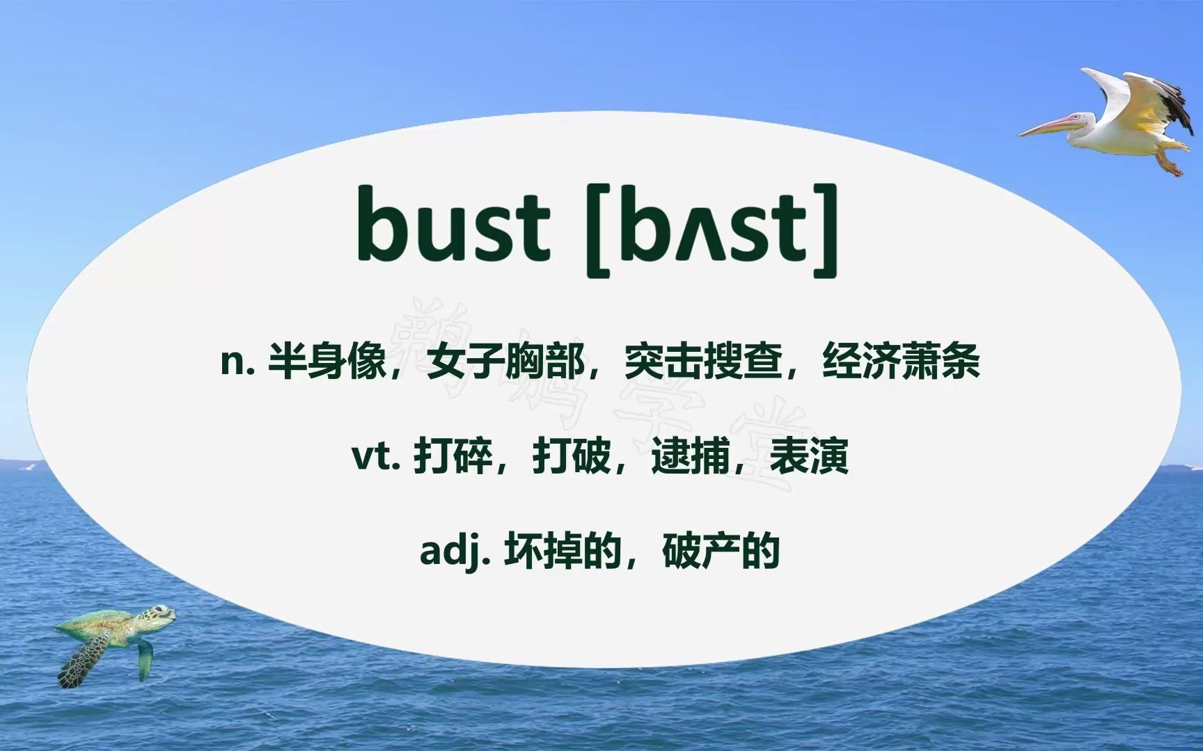 高频单词  bust哔哩哔哩bilibili