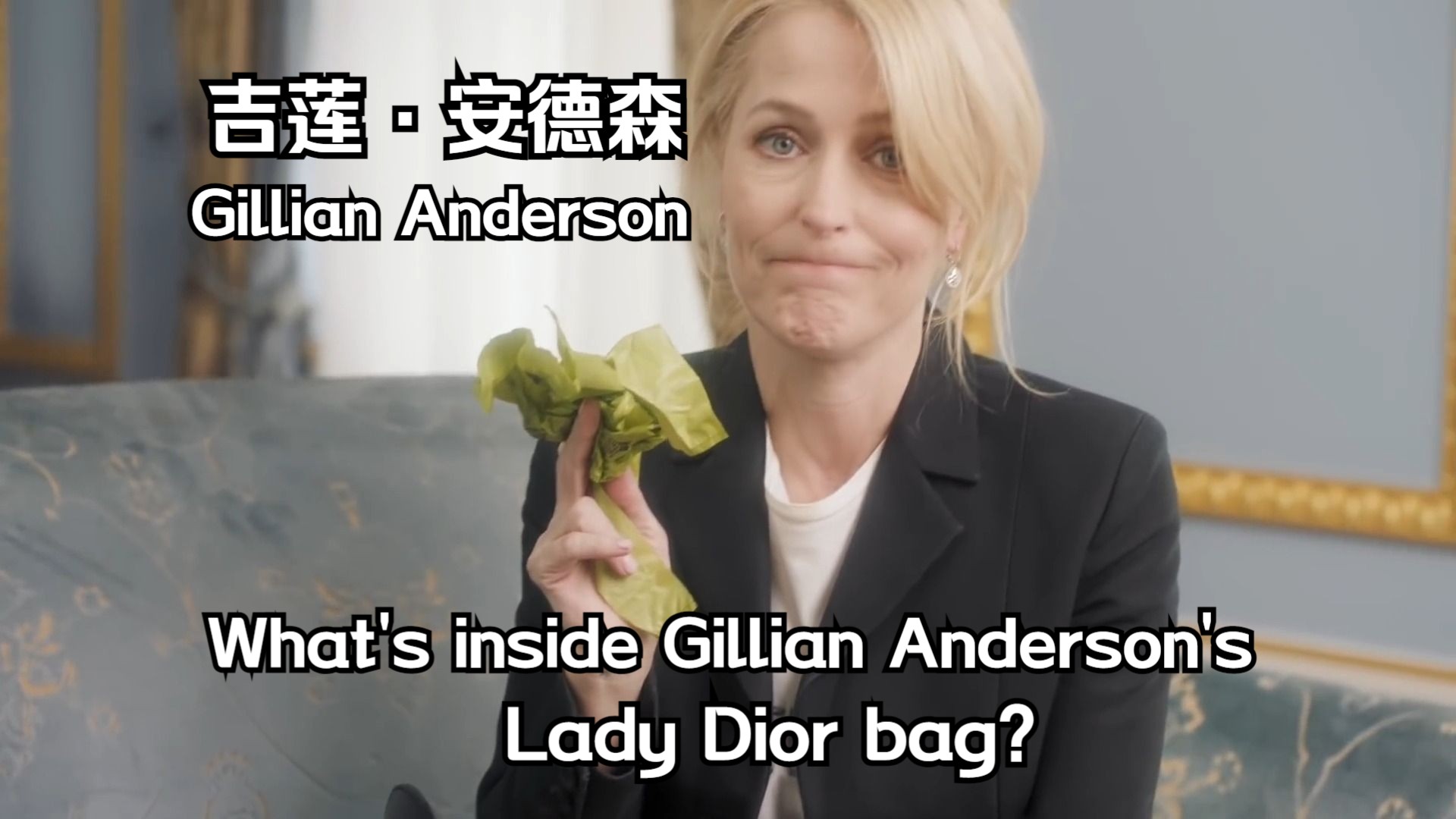 【中英雙語】}吉蓮·安德森 (gillian anderson)的 lady dior bag裡有