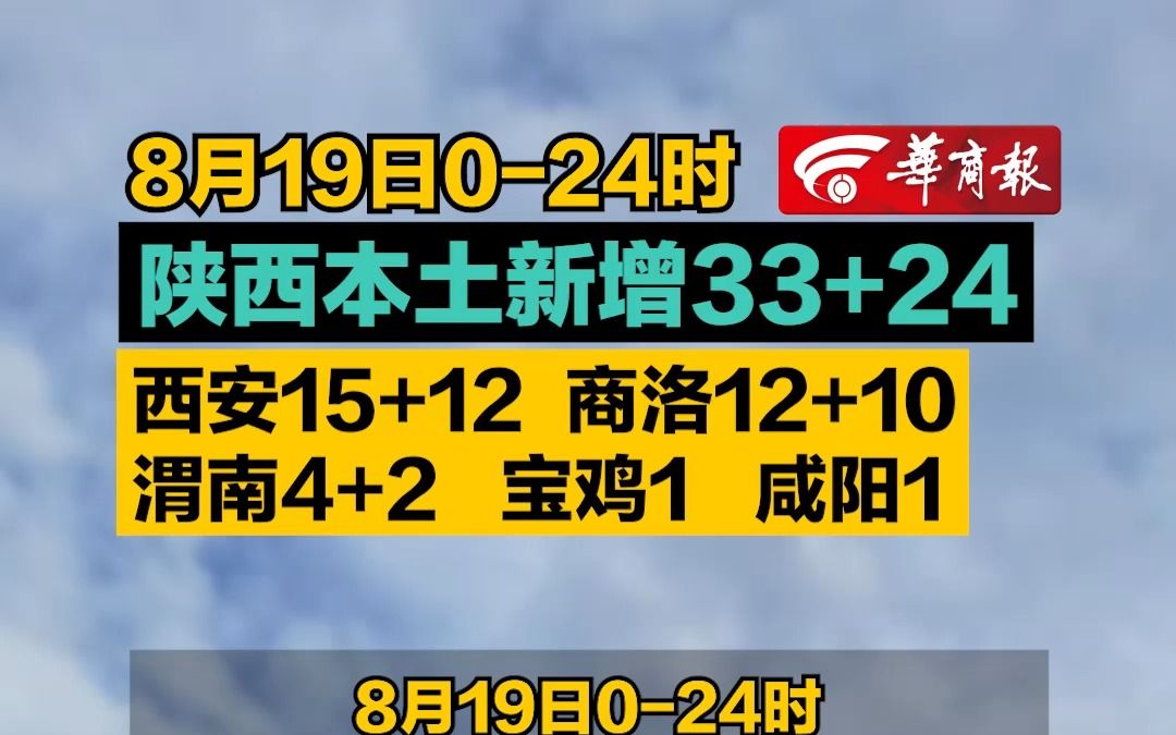 【8月19日024时 陕西本土新增33+24 西安15+12 商洛12+10 渭南4+2 宝鸡1 咸阳1】哔哩哔哩bilibili