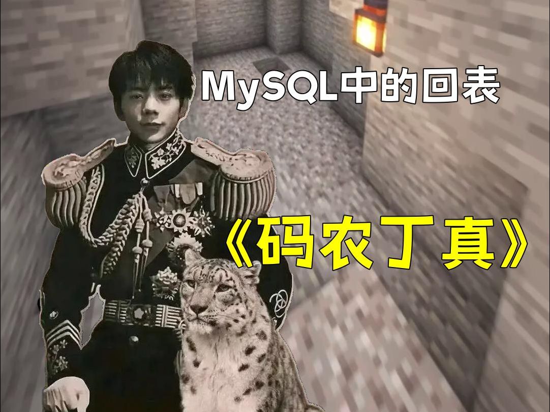 【码农丁真】MySQL中的回表哔哩哔哩bilibili