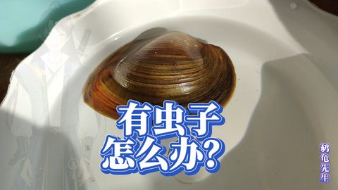 鱼缸有虫子怎么办 鱼缸里虫子的三种来源 野采水草消毒除虫方法 网购除藻螺避免带入鱼缸寄生虫的方法 网购浮萍水草减少水蛭红虫涡虫 入缸的方法 鱼缸出现虫子原因和除虫 哔哩哔哩