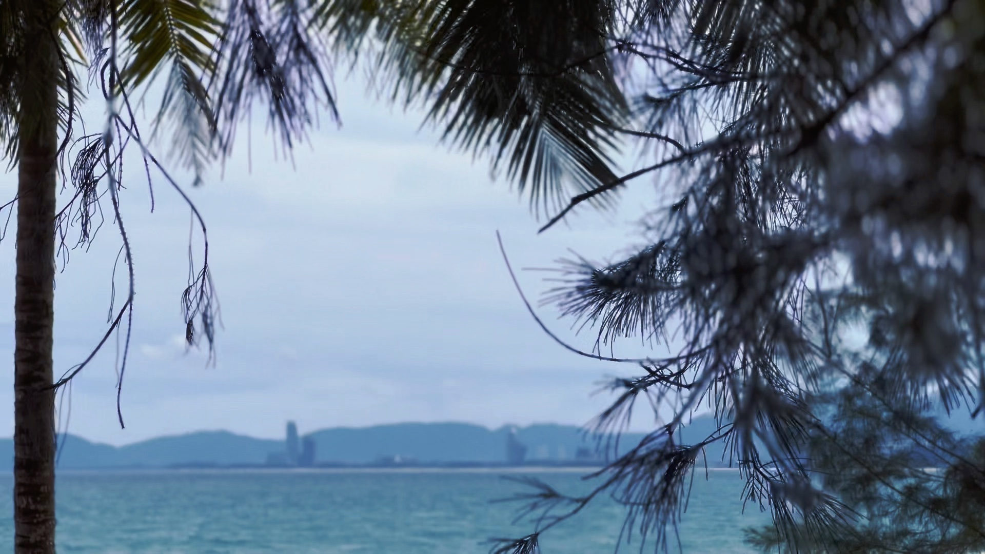 这个季节的海南有很多宝藏美景哦