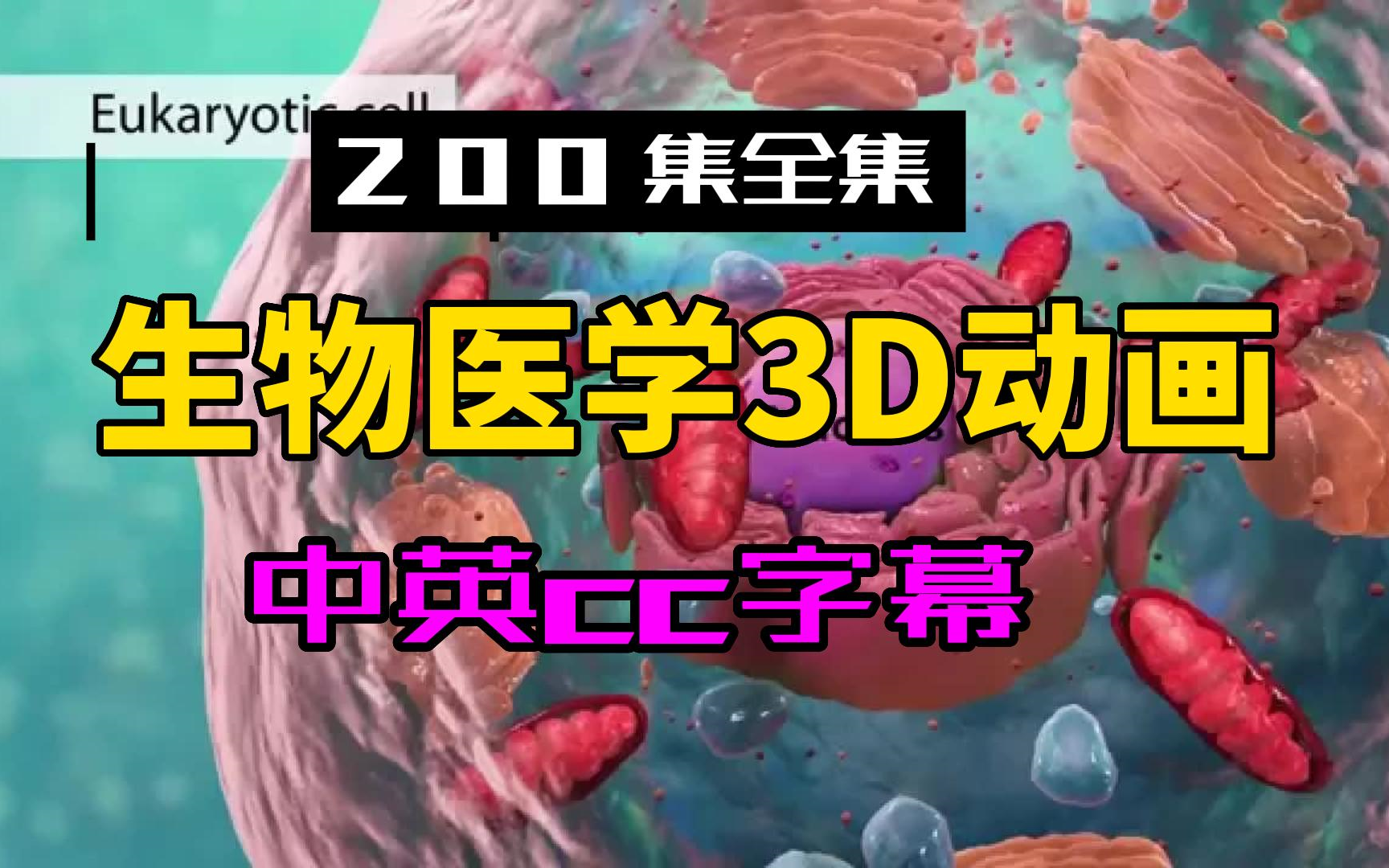 禁烟广告吸烟导致肺气肿,肺癌 10Antismoking Ad Smoking Causes Emphysema, Lung Cancer #shorts哔哩哔哩bilibili