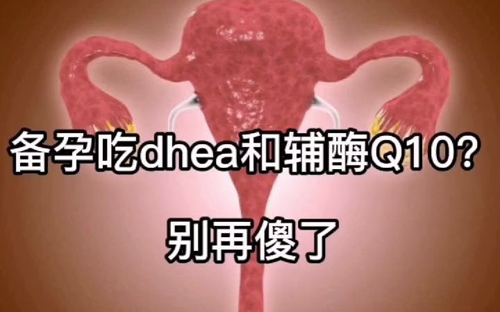 姐妹们,备孕还在吃dhea和辅酶q10吗?别再傻了哔哩哔哩bilibili