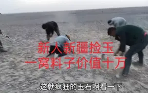 Скачать видео: 新人组团新疆捡玉，崩溃时，发现价值十万的糖白窝，人人有份！