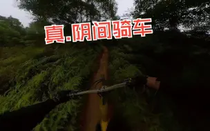 Download Video: 如何把山地车骑成恐怖片