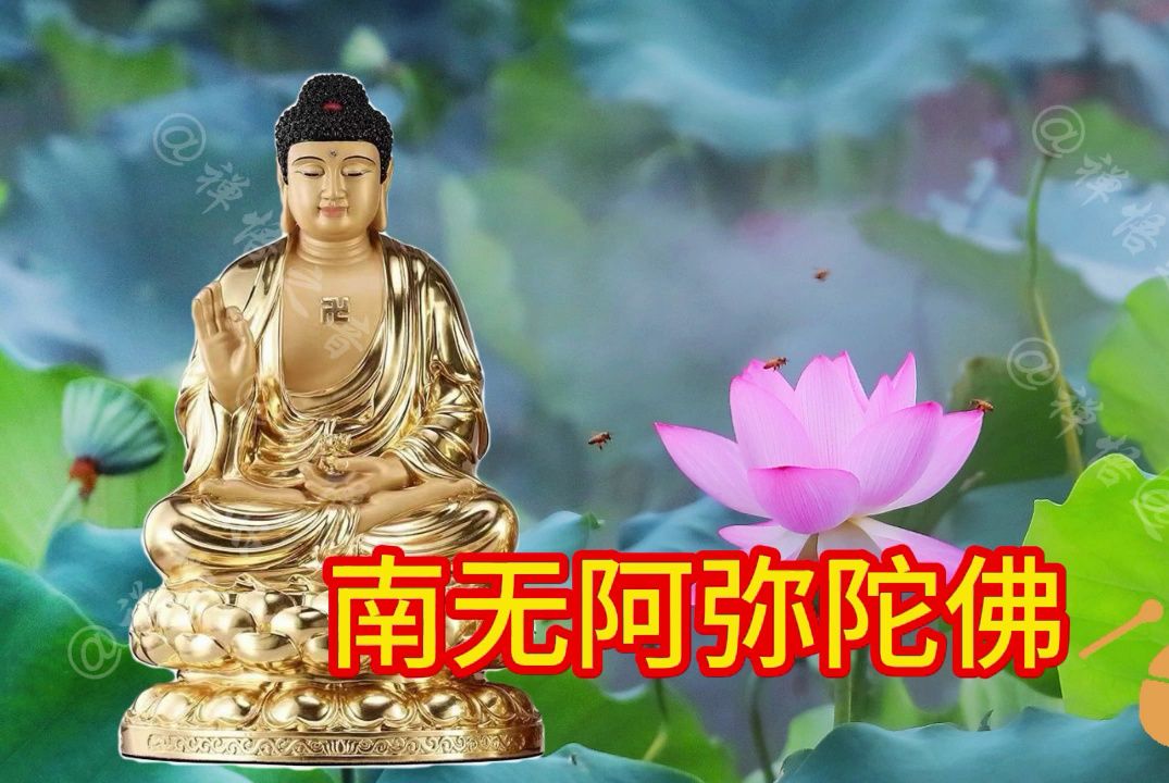 每天30分《阿弥陀佛》晨念开始.快快乐乐.留下评论,留下祝福