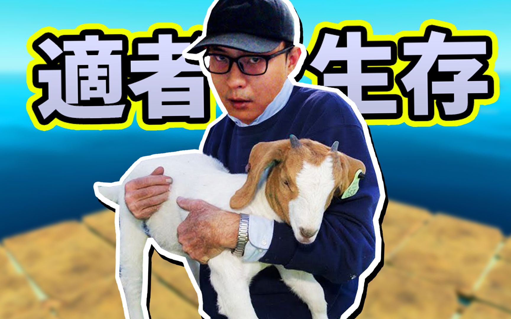 抓羊驼,剪羊毛,弄盔甲,弄背包【木筏求生 raft】ep.