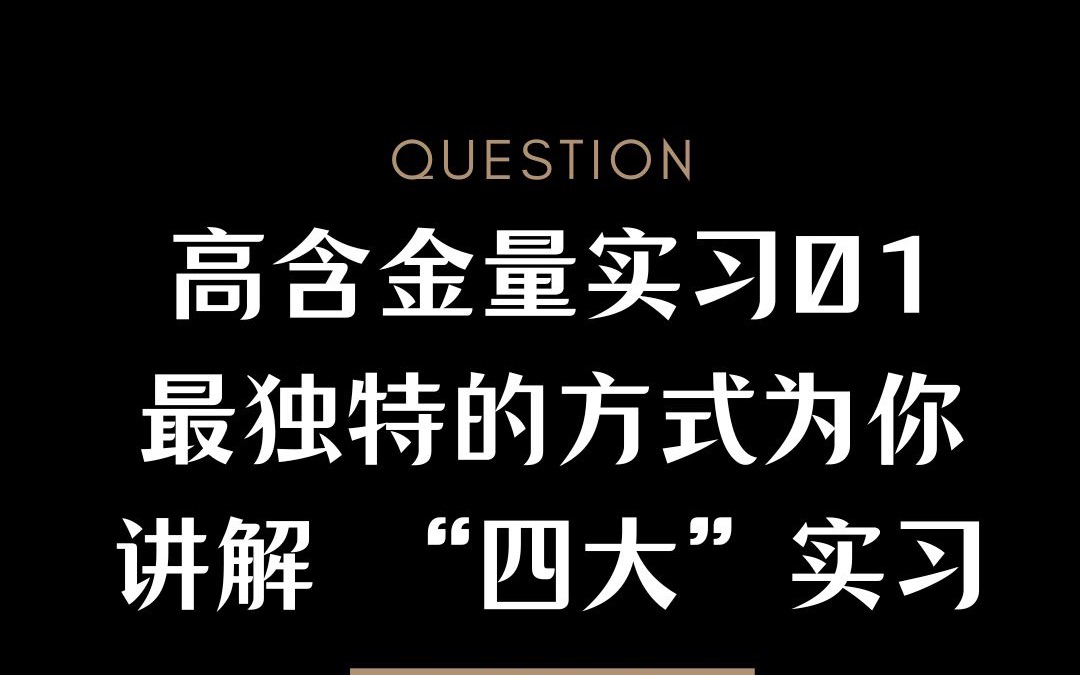 高含金量实习01: 最独特的方式为你讲解 “四大”实习哔哩哔哩bilibili