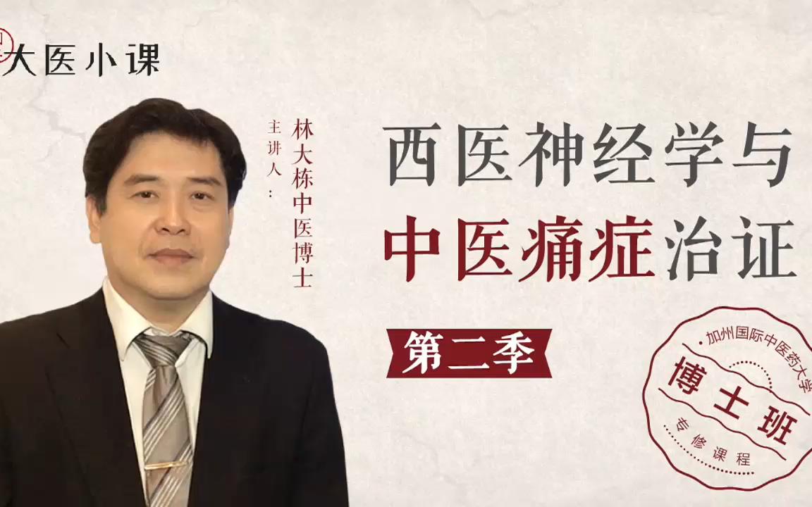 活动作品中医痛症针灸林大栋倪海厦亲传弟子皮五针