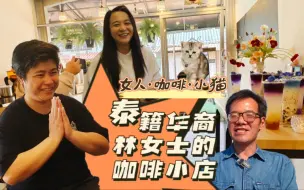 Download Video: 三个女人两个店，香浓咖啡小猫咪，腊八节空谷与泰籍华裔林女士闲聊人生点滴，2024.1.8 泰国生活 北碧府酒吧街 咖啡馆