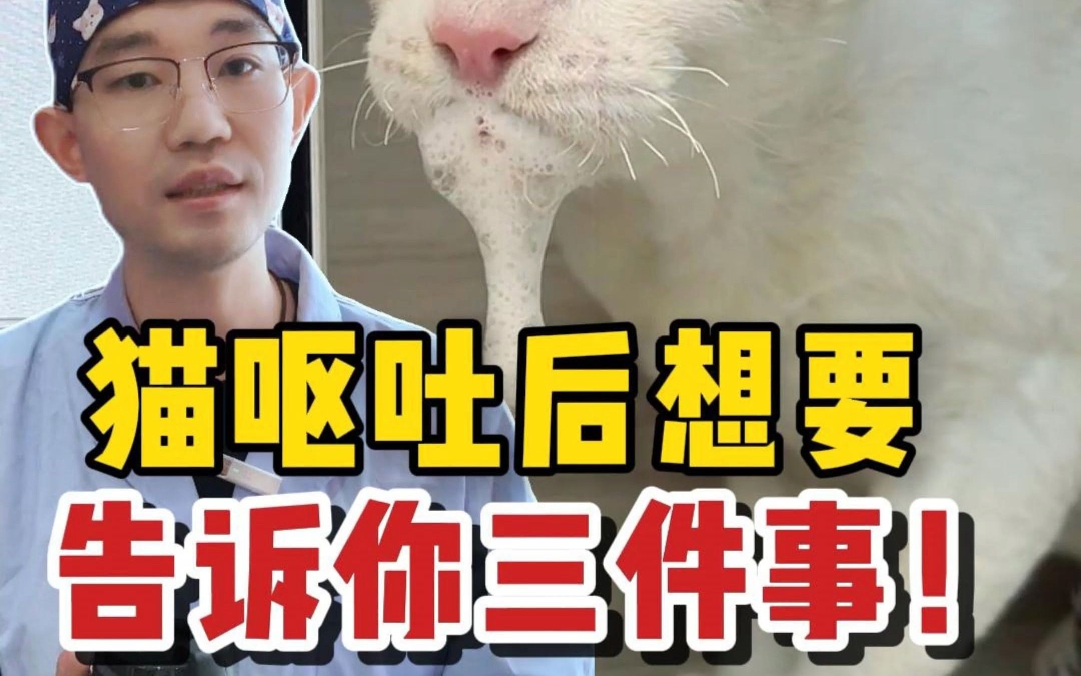 猫咪呕吐后最想告诉你的三件事...哔哩哔哩bilibili