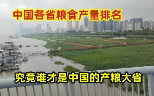 Video herunterladen: 中国各省粮食产量排名，谁才是中国的产粮大省？一起来看看吧