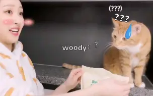 Télécharger la video: 【赵辉玹】对猫猫犯见然后被妈妈训了的可爱小辉^ ^