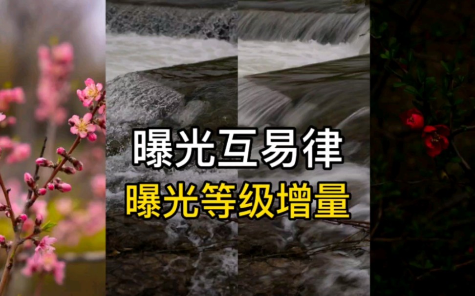 相机如何调整曝光三要素?学会曝光等级增量和曝光互易律,手动档拍照也很简单哔哩哔哩bilibili