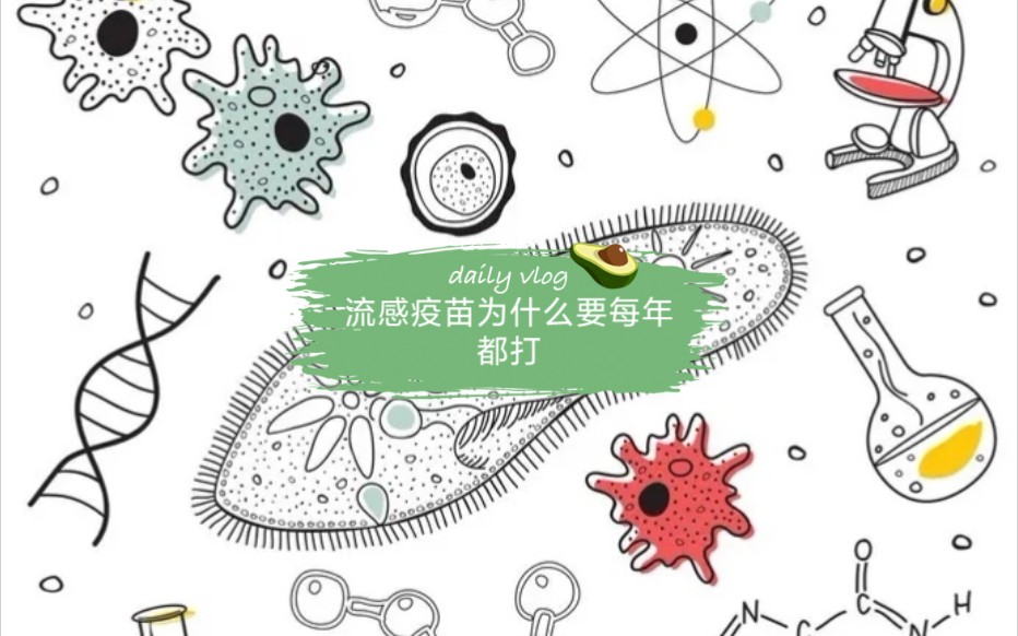 [有趣的生物科普]流感疫苗为什么要每年都打哔哩哔哩bilibili