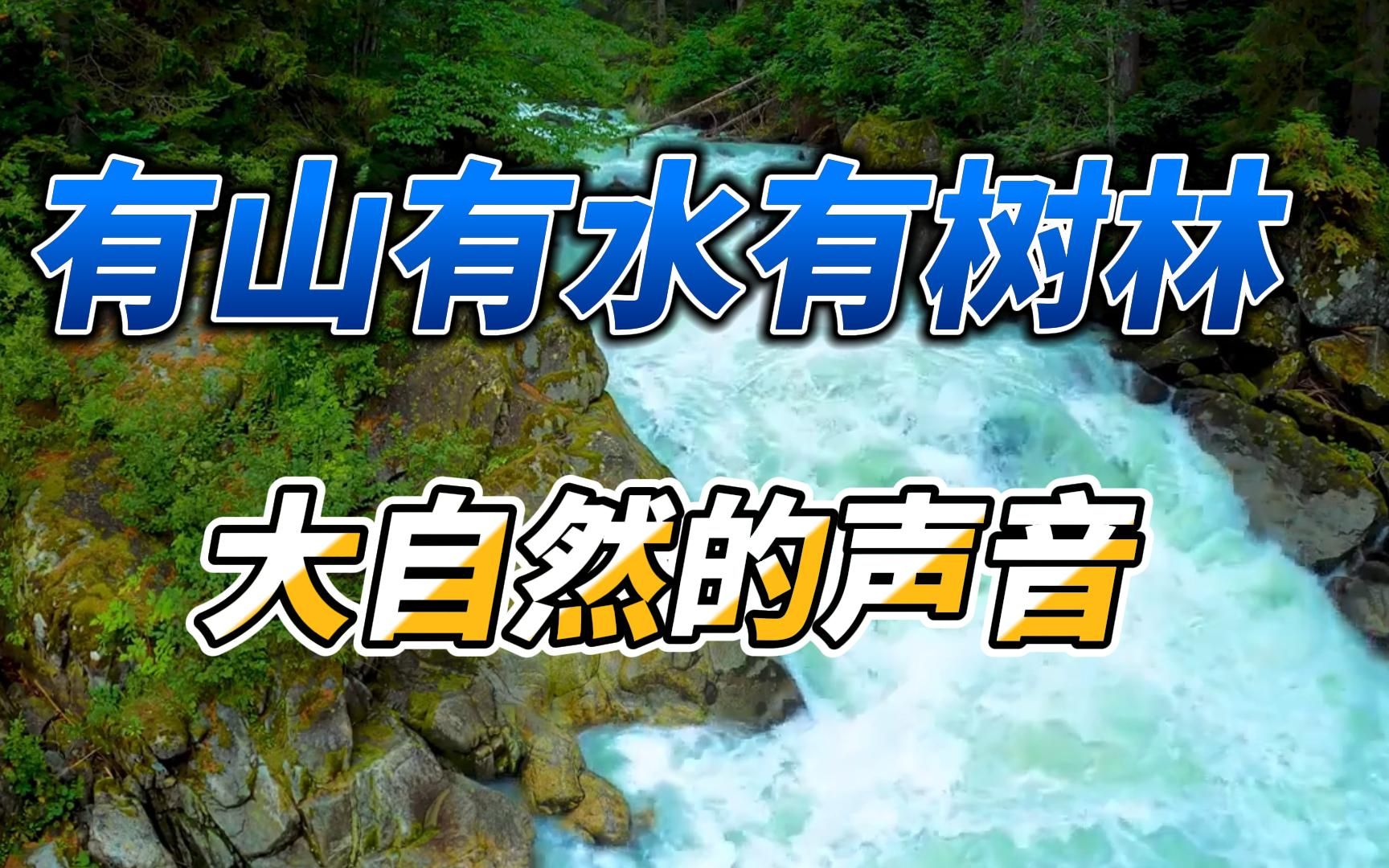 有山有水有树林,大自然河流流水声,睡眠音乐哔哩哔哩bilibili