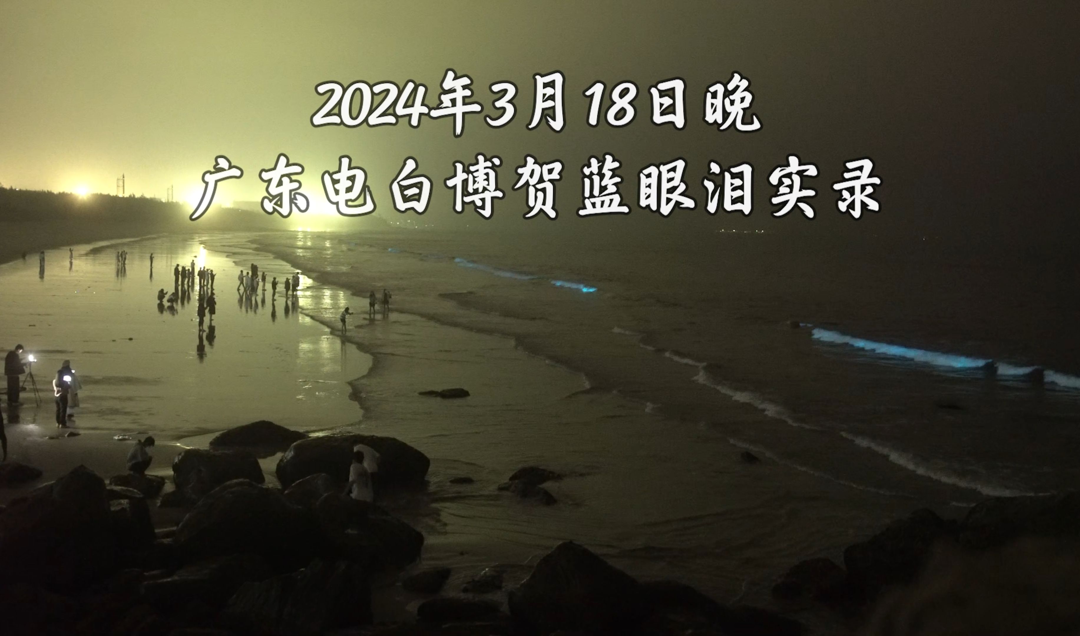 起猛了,整片海岸都是蓝眼泪!广东电白博贺蓝眼泪实录哔哩哔哩bilibili