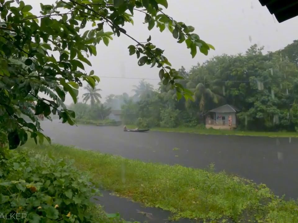 下雨时的场景图片