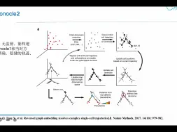 Video herunterladen: 【单细胞转录组细胞分化分析】4.monocle2原理