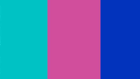 小林公平メモリアルトーク プチコンサートpart1 愛華みれ 稔幸 22年 哔哩哔哩