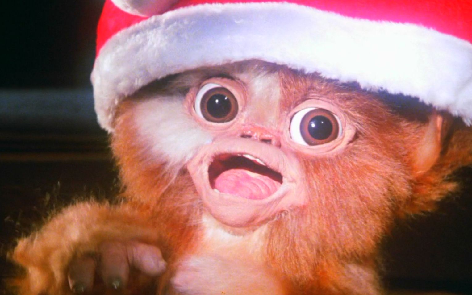 影视:父亲精挑细选的圣诞礼物,竟然是一只小魔怪,差点闯下大祸