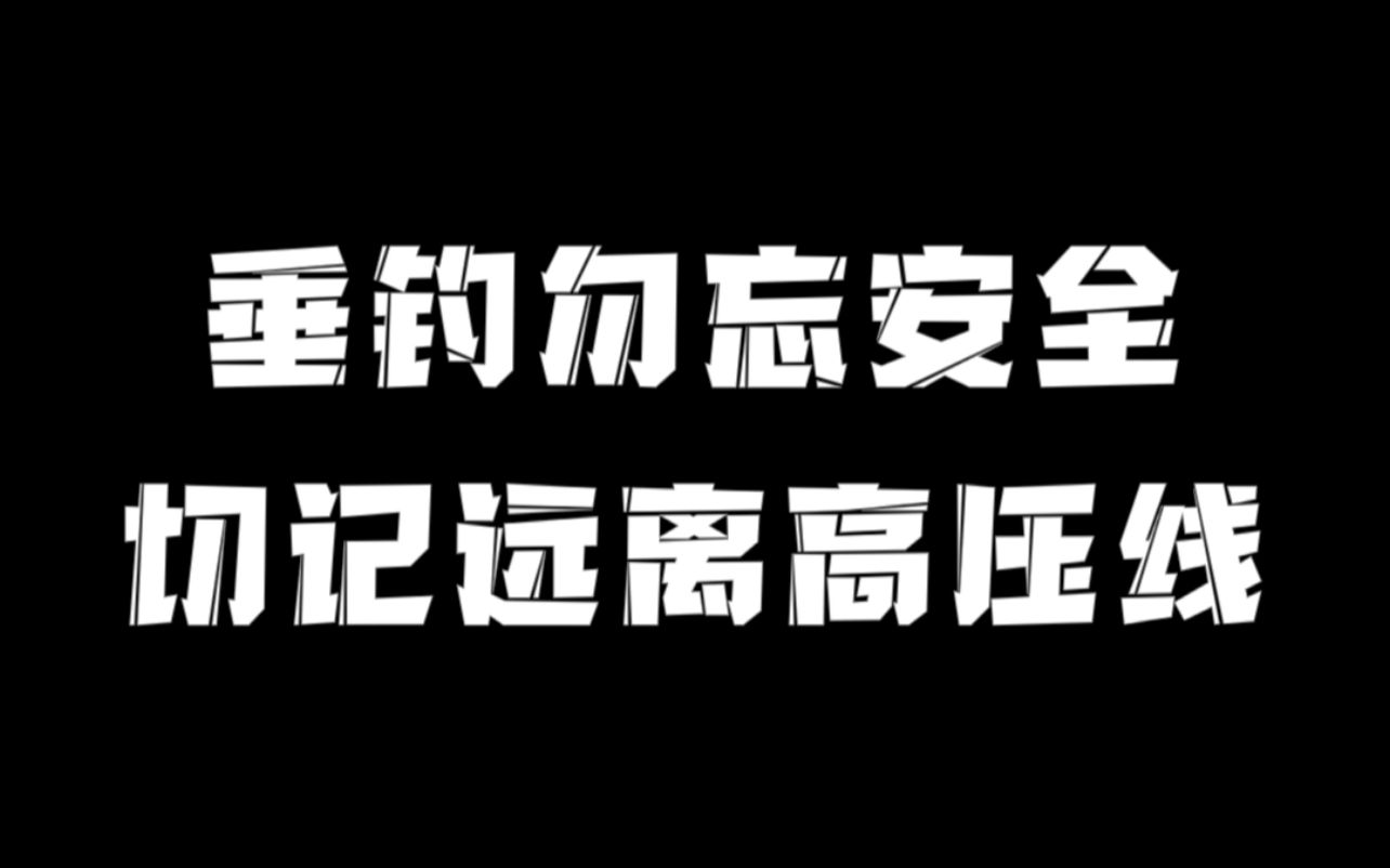 安全垂钓,远离高压电线,生命只有一次,切勿存在任何侥幸哔哩哔哩bilibili