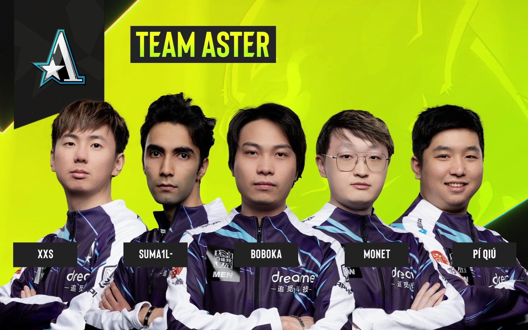 team aster图片