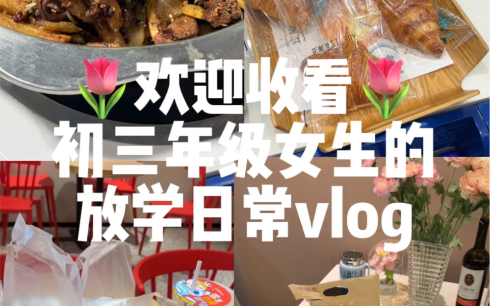 08/初三女生的放学日常vlog哔哩哔哩bilibili