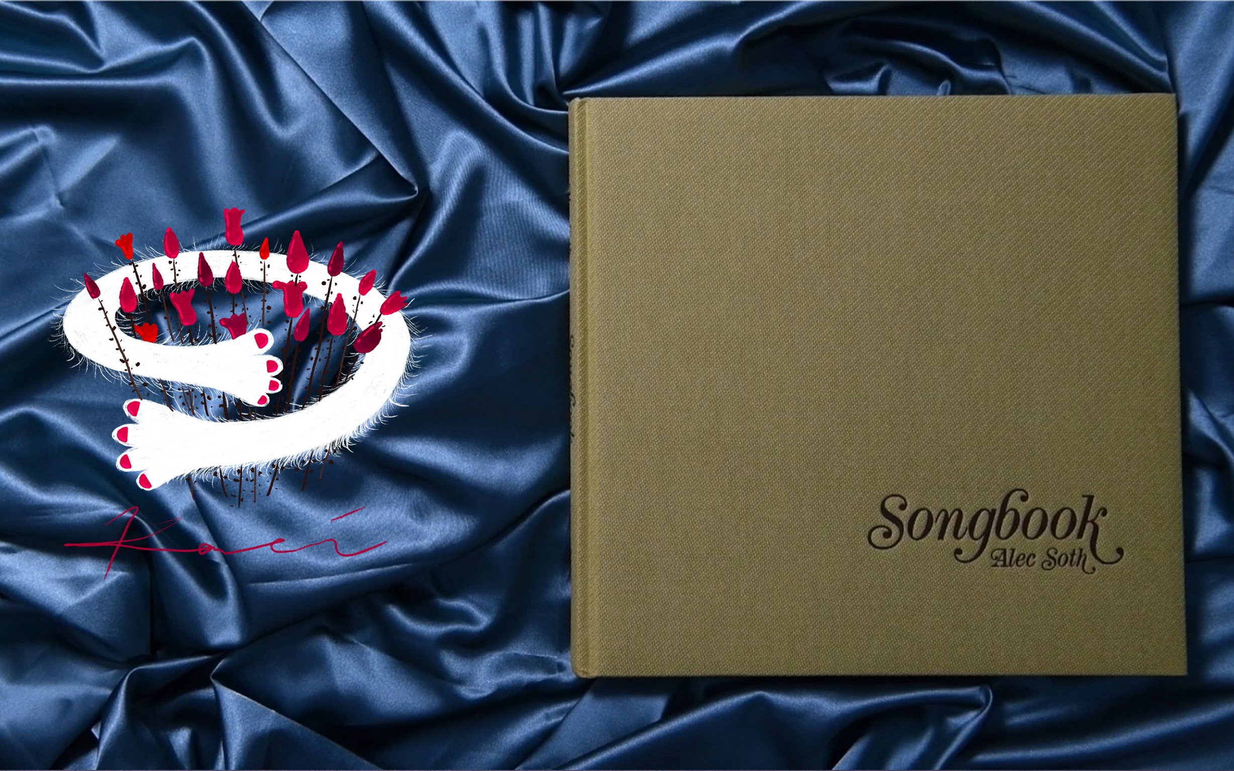 Songbook(歌本)Alec Soth(埃里克.索斯)「摄影画册翻书视频」哔哩哔哩bilibili