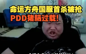 命运方舟国服首杀被抢 PDD直接猪脑过载