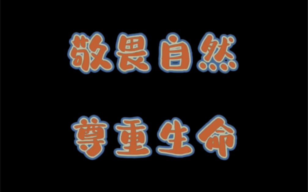 敬畏自然!尊重生命!_哔哩哔哩_bilibili