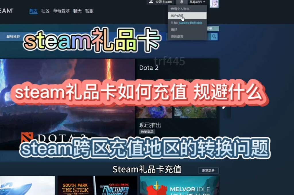 关于steam礼品卡能否跨区充值?以及steam礼品卡如何去充值?有哪些细节性操作哔哩哔哩bilibili