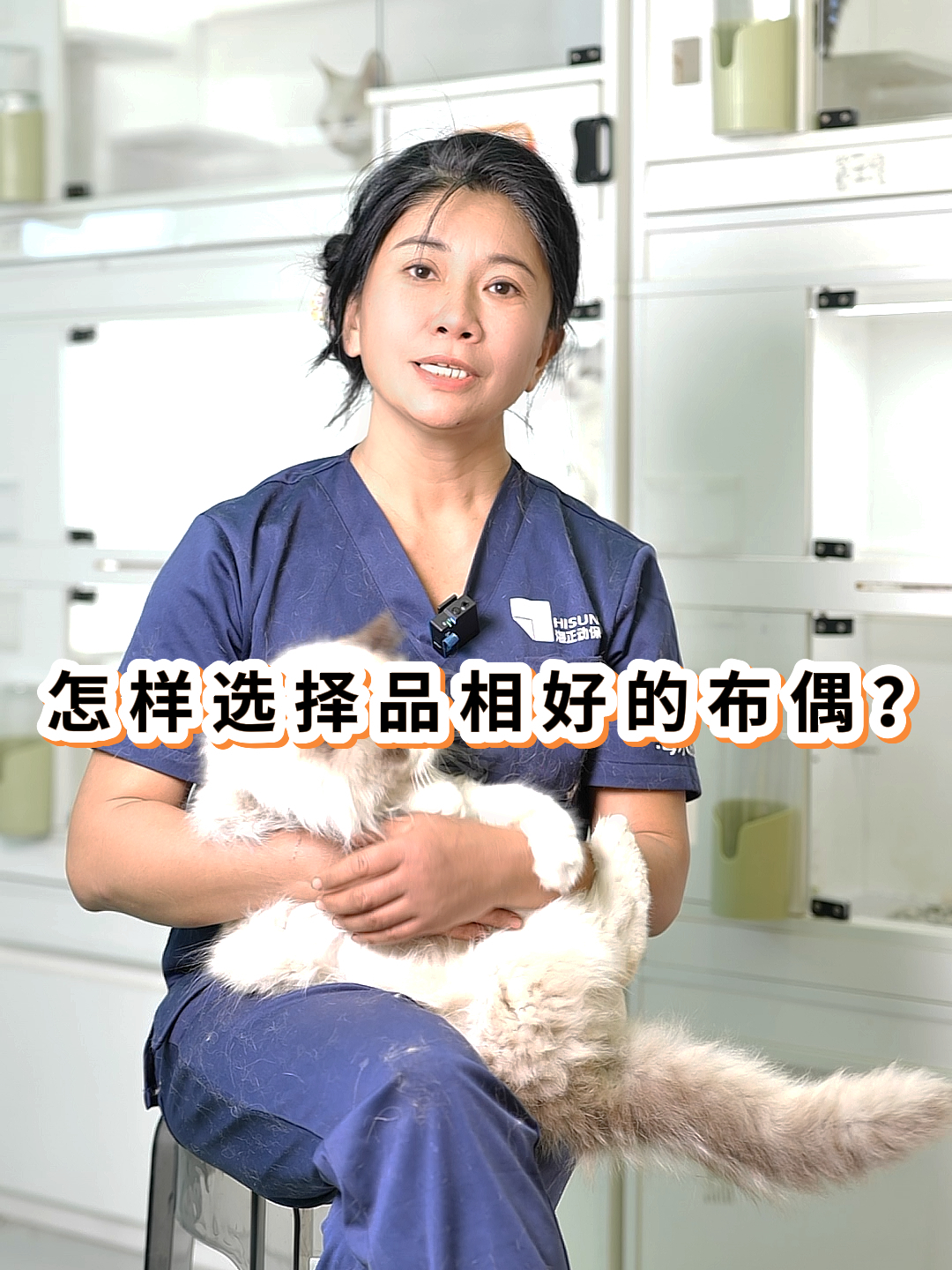 宁波宠物猫舍,宁波猫舍哪家好?正规宁波猫舍推荐,价格多少.专业,靠谱宠物猫舍排行.附近哪家宠物店比较好,多少钱.怎么看纯种猫的品相性格....