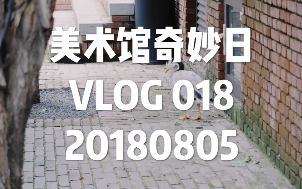 VLOG 018 | 美术馆奇妙日,道隐无名,美轮美奂的光影装置展!哔哩哔哩bilibili