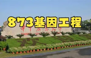 华中农业大学 生物与医药 873基因工程考研经验分享