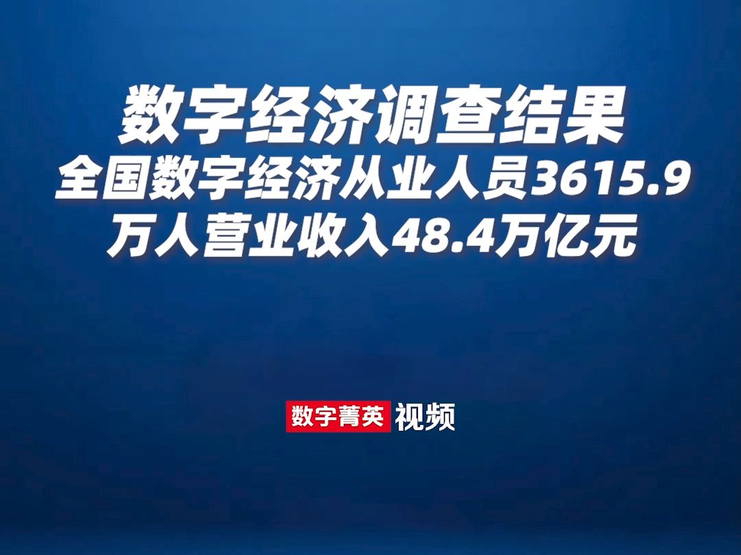 全国数字经济从业人员3615.9万人营业收入48.4万亿元.哔哩哔哩bilibili