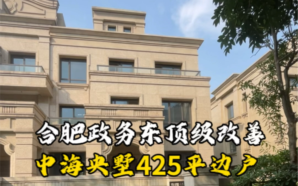 合肥政务东顶级改善中海央墅425边户干挂石材到顶1750万#合肥别墅哔哩哔哩bilibili