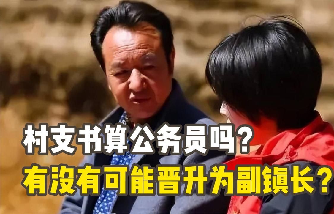 村支书算公务员吗?村支书有没有可能向上晋升为副镇长? 哔哩哔哩bilibili