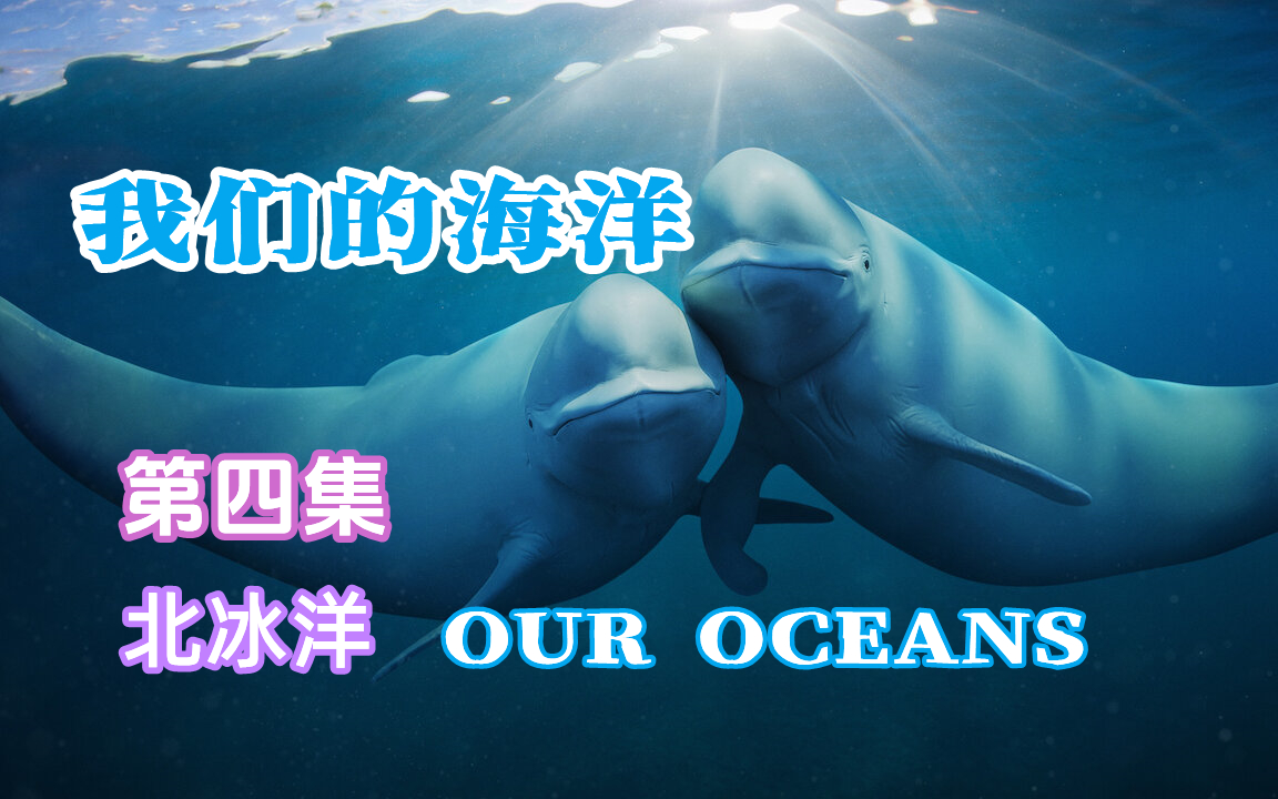 [图]【纪录片】我们的海洋(2024)[5集]第4集 中英双语字幕 超清1080p Our Oceans 太平洋 印度洋 大西洋 北冰洋 南冰洋