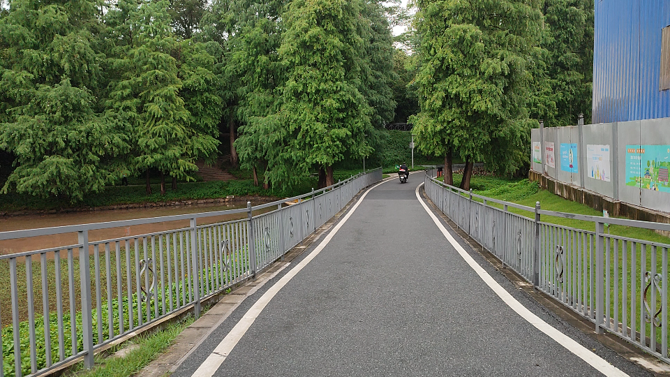 公園裡的林蔭小路